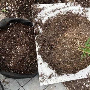 Step 3 position plant on tile with pot and soil so that it slides right over.jpg