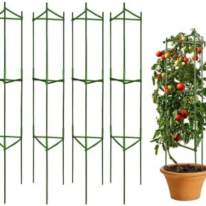 tomato cages.jpg