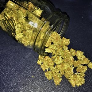 MC-CB cured bud 9-19-21.jpg