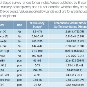 2f103769%2farticles%2fimages%2fcult-matteres-5_fmt.png