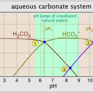 Limestone-Water vs pH .png