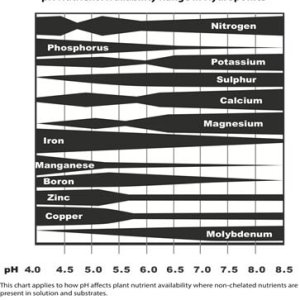 pH-availability-chart.jpg