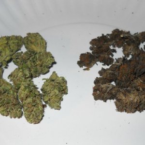 Woodsman Outdoors 11-27 Water Cure Comparison