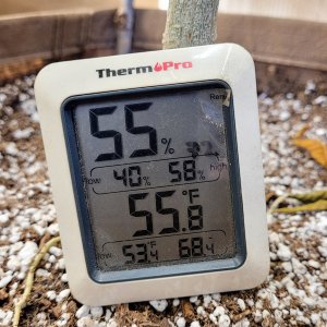 20211013_081357 Shed temps.jpg