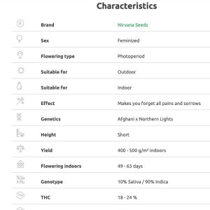 Aurora Indica Characteristics.jpg