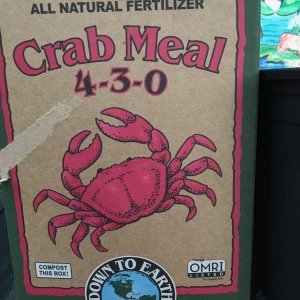 crabmeal.jpeg