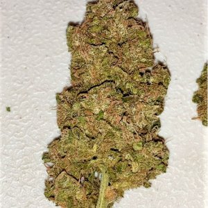 sour apple finished bud closeup 2.jpg