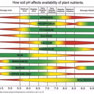 How_Soil_pH_affects_availability_of_plant_nutrients.jpg