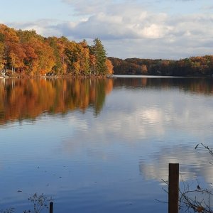 fall on the lake.jpg