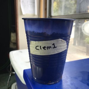 Photo 1 - Clem1.jpeg