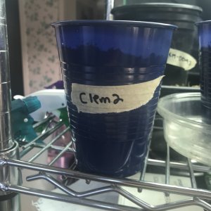 Photo 3 - Clem2.jpeg