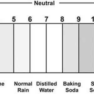 pH-scale-site.jpg