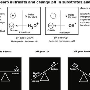 pH-change-image-site.jpg