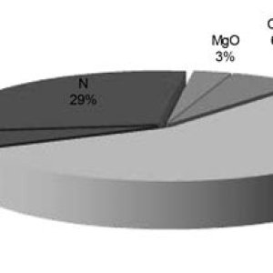 graph-2.jpg