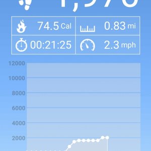 Screenshot_20211117-161728_Pedometer.jpg