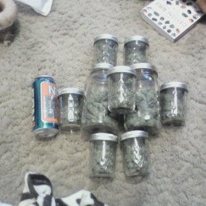 jars