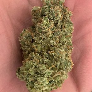 SB 2 final trimmed bud.jpg