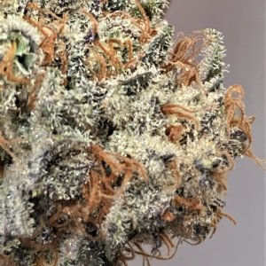 REAL CLOSEUP SLURRICANE FINISHED BUD.jpg