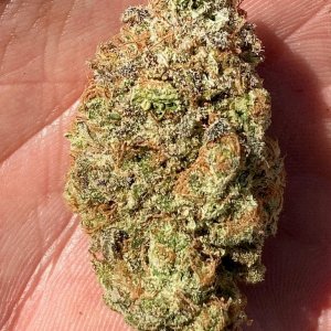 Ghost Train Haze finished bud.jpg