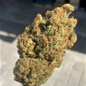 SB Pheno #1 bud shot.jpg