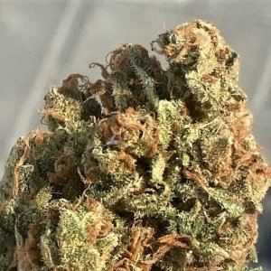 SB Pheno #1 bud closeup shot.jpg