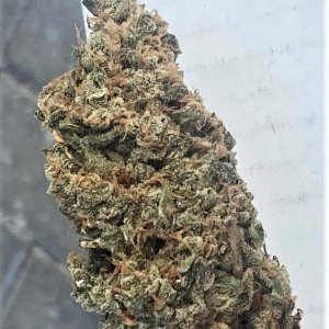 SB Pheno #2 bud shot.jpg