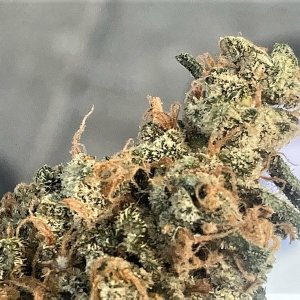 SB Pheno #2 bud closeup.jpg