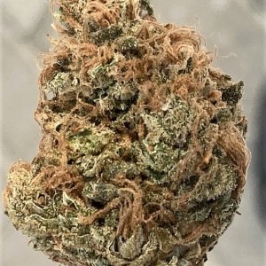 SB Pheno #3 bud shot.jpg