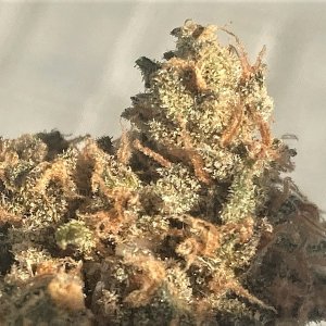 SB Pheno #4 bud closeup.jpg