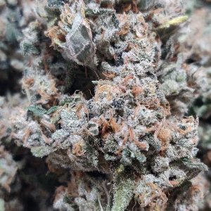 Sweet Cherry Pie - Yield - 2.jpg