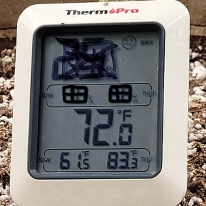 20211221_083151 shed temps.jpg