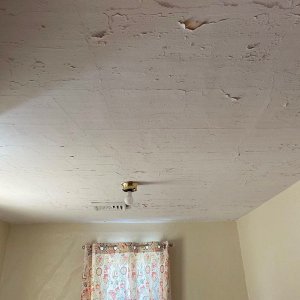 Delsea Ceiling before.jpg