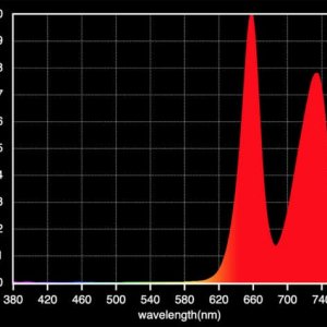 ssk1560730660-600x475.jpg