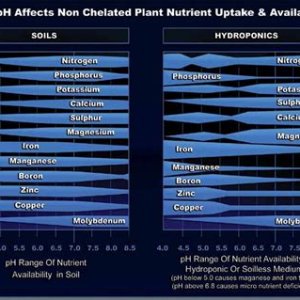 Nutrient vs pH .jpg