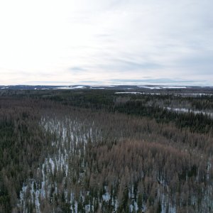 dji_export_1642902717686.jpg