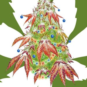 Merry Canna-mas