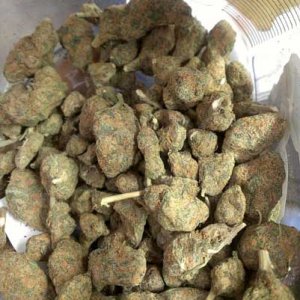 ultra-dense-nugs-cannabis-buds-treated-with-pgr-sm.jpg