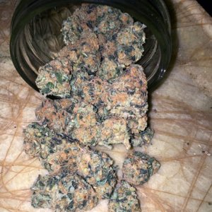 dense-pgr-orange-nugs-spilling-from-glass-jar-sm.jpg