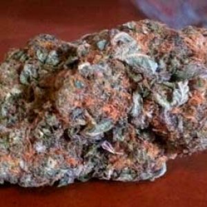 purple-god-bud-nug-colorful-sm.jpg