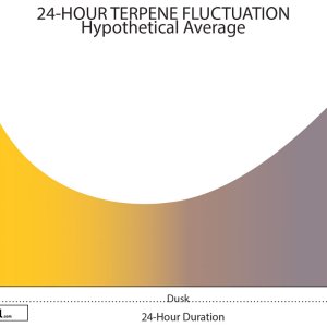 terpene-fluxuation-ed-rosenthal.jpg