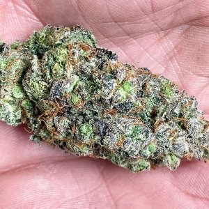 DSD wet trimmed bud #1.jpg