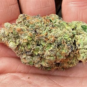 DSD wet trimmed bud #2.jpg