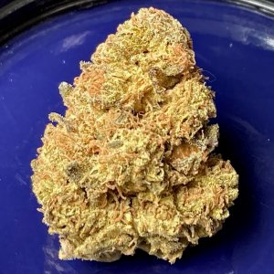 Hulkberry Bud jarred 12 11.jpg