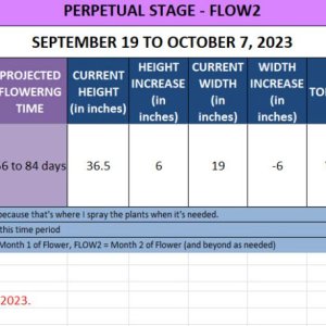 420 Update for Jade - September 19 to October 7, 2023.jpg