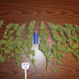 LED/HID harvest