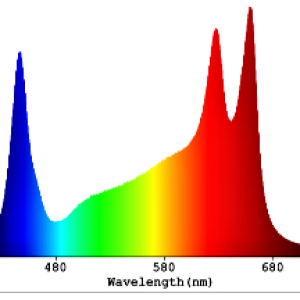 Spectrum of my good light.png