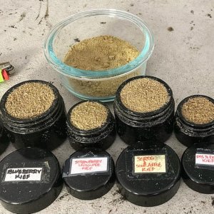 Current kief stash.jpg