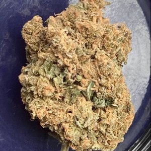 SB auto cured since 12 2 bud.jpg