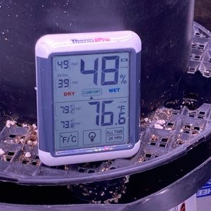 Veg Environment and Range of Temp and RH swings.jpg