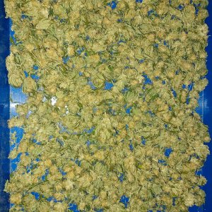 herer bud tray.jpg